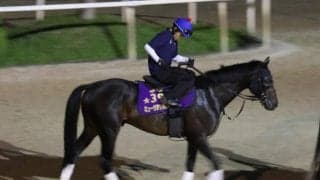 ミュージアムマイル、セントライト記念1週前追い切り速報/栗東トレセンニュース