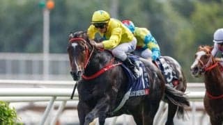 香G1・4勝のラッキースワイネスがスプリンターズS参戦 16日に来日へ