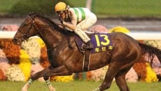 キセキ産駒のJRA初勝利なるか 土曜日に2頭がデビュー