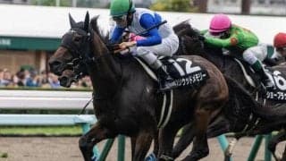 【札幌スポニチ賞】全兄はGI・2勝のダノンスマッシュ ハリウッドメモリーが連勝なるか