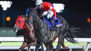 【大井・ゴールドジュニア結果】断然人気のゴーバディが差し切りV！人馬共に重賞初制覇