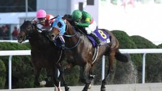 日本馬6頭が韓国決戦へ！9.7ソウルでコリアスプリント＆カップ出走