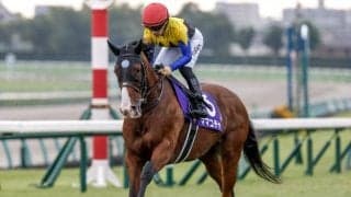 【セントウルS枠順確定】ママコチャは2枠3番、トウシンマカオは7枠14番