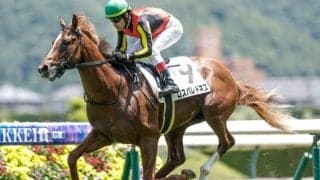 【札幌2歳S枠順確定】ロスパレドネスは6枠8番、スマートプリエールは8枠11番