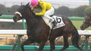 先週の530万馬券を演出 ホエールキャプチャの仔が連闘で初勝利なるか