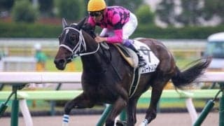 今週の武豊騎手は7鞍 スマートレイアーの仔を重賞初制覇に導くか