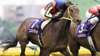 祖母は名牝ブエナビスタ ソラネルマンがデビュー勝ちなるか