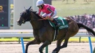 【チャレンジC想定馬・騎手】イングランドアイズ、サブマリーナなど16頭