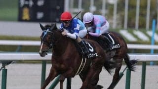 【京成杯AH予想】開幕週らしからぬ傾向あり!? 前走初角での位置取りが高配当の鍵