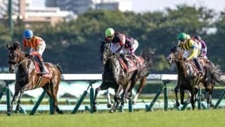 紫苑Sは創設から四半世紀 秋華賞の“重要ステップ”に昇華