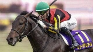 【セントライト記念想定馬・騎手】ミュージアムマイル、ジーティーアダマンなど13頭