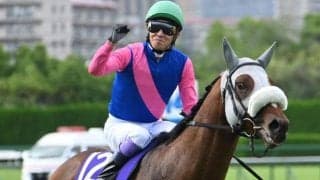 「アイドルホースオーディション2025」最終結果 3頭が新たにぬいぐるみ化