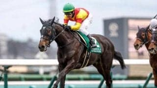 【今日の注目ポイント】札幌2歳Sと中山で京成杯AHの2重賞