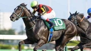 【京成杯AH】ディープインパクト産駒が好成績 5歳以上の牝馬に注目