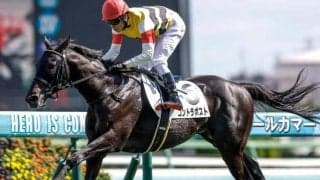 【京成杯AH予想】秋競馬の開幕告げるハンデ重賞 サマーマイル王者はどの馬に