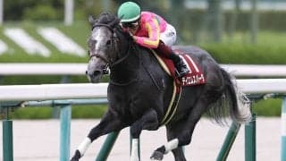 【競馬予想】スピード決着必至のセントウルＳで狙える穴馬２頭　人気急落の実績馬が高配当を演出か