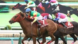 エコロブルームが骨折