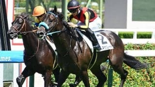 【阪神5R新馬戦結果】リオンディーズ産駒ベネサルートが初陣飾る