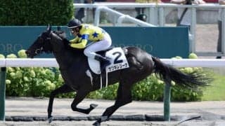 【札幌3R】サツキレジーナが初勝利…小林美テーオーテバルディは2着