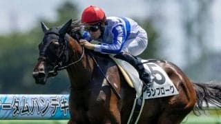 【新馬/中山5R】ダノンキングリー産駒 ランプローグがデビューV