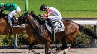 【新馬/中山6R】ナダル産駒 アルデトップガンが豪快な差し切りV