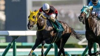 【京成杯AH】軽量ホウオウラスカーズが突き抜けて波乱