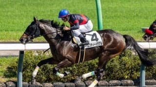 【中山8R】ロフティーイデアルが惜敗に終止符…待望の2勝目をマーク