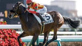 【紫苑S予想】休み明けの馬は前走のレース格が重要！ リターンとリスクが見合わない軽視すべき人気馬とは