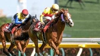 【セントウルS予想】高齢馬には鬼門とも言える一戦！ 人気馬2頭が該当した消去法データとは