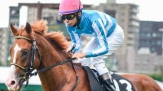 【丹頂S】半兄は大阪杯覇者のジャックドール 障害2勝のディナースタが1年ぶりの平地戦だ