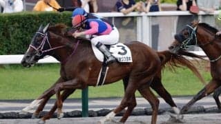 【札幌12R】プラス36kg・初ダートのメイショウツヨキが快勝