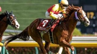 【AI予想・セントウルS】連覇へ向けて死角なし！ 年齢重ねてさらに成長した印象がある人工知能の本命馬