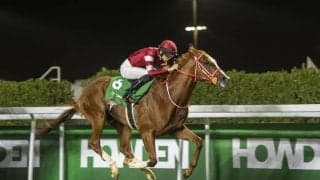 【愛チャンピオンS】シンエンペラー参戦予定…テレビ・ラジオ生中継