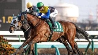 【今日の注目ポイント】中山で紫苑Sと阪神でセントウルS