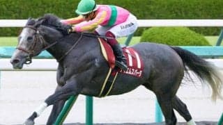 【セントウルS】逃げ馬が好成績 北九州記念組の激走に注意