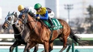 【セントウルS予想】サマースプリントシリーズ最終戦 秋GIに向けても重要な前哨戦に