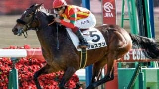 【紫苑S予想】秋華賞を占う重要な一戦 難コース攻略には体力必須