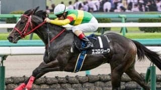 【セントウルS】国内3戦3勝のエコロジーク 連勝で重賞初制覇なるか