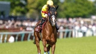 【セントウルS予想】人気薄狙うならば絶好のタイプも? 過去データから探るGIIセントウルS