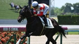紫苑S当日の中山芝は高速決着 S-Mペースなら前残りに要注意