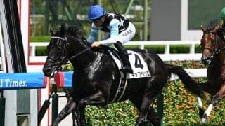 【阪神5R新馬戦結果】スタディオブマン産駒キッコベッロが2馬身差で快勝