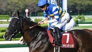 【JRA・WIN5】本日のWIN5は的中38票、配当1290万5470円