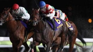 【コリアスプリント結果】日本勢はチカッパが2着 香港のセルフインプルーブメントがV