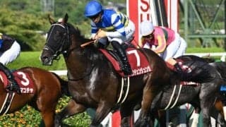 【セントウルS結果】カンチェンジュンガが直線一気で重賞2勝目！