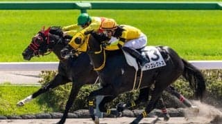 【中山3R】断然人気ドンエレクトスが抜け出す