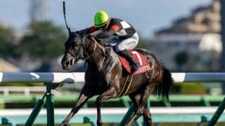 【紫苑S】伏兵ケリフレッドアスクが逃げ切る…リンクスティップは着外