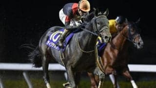 【コリアC結果】大井のディクテオンが差し切りV！ コスモバルク以来の地方馬海外重賞制覇