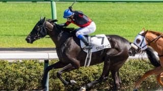 【新馬/中山6R】ナダル産駒 ヴァレンティーニがデビューV