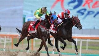 【コリアスプリント】武豊チカッパは惜しい2着…勝利したのは香港馬セルフインプルーブメント