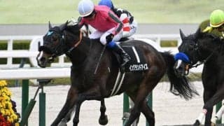 【チャレンジC】イングランドアイズ、サブマリーナらが登録